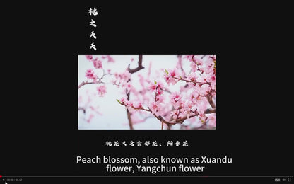 Peach bloom incense